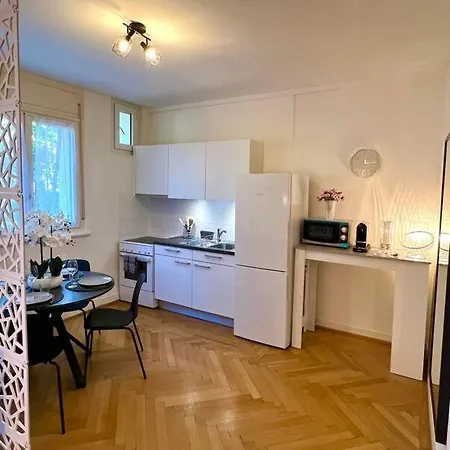 Luxury Flat In Champel